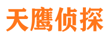 泾源调查事务所